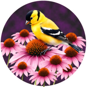 Goldfinch Coneflower