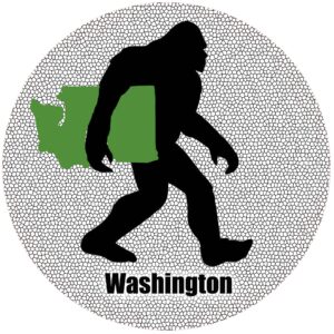 Big Foot Washington