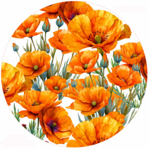 Poppies