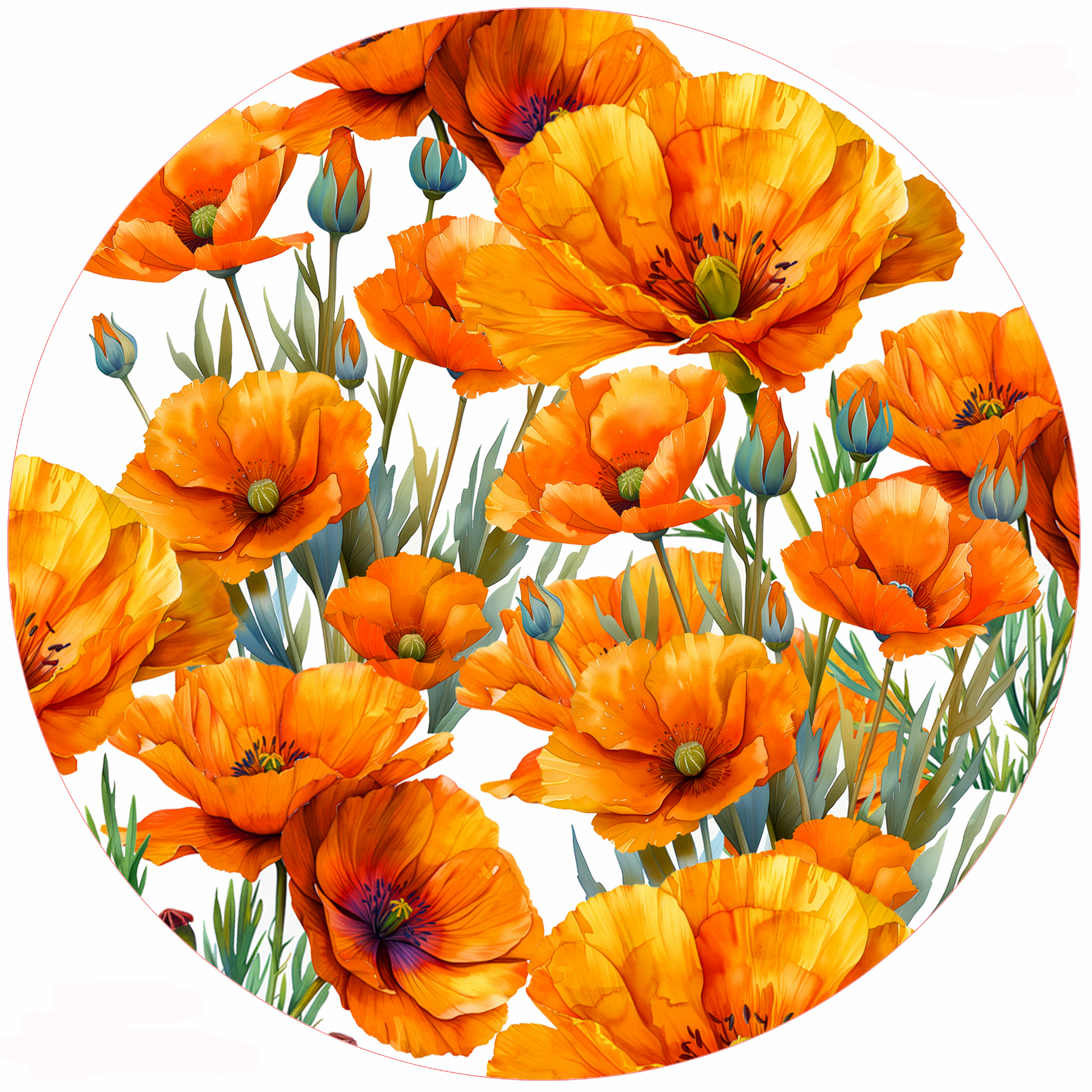 Poppies
