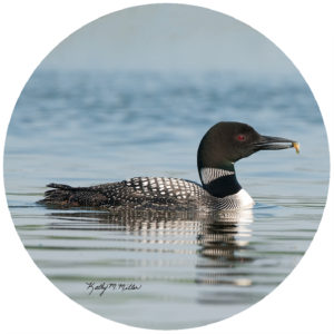 Kathy Miller Loon w/ Fish