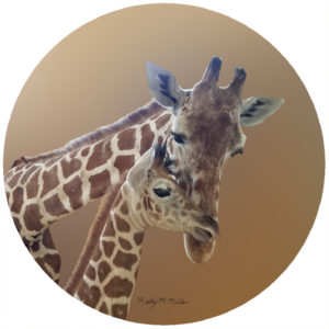 Kathy Miller Giraffe