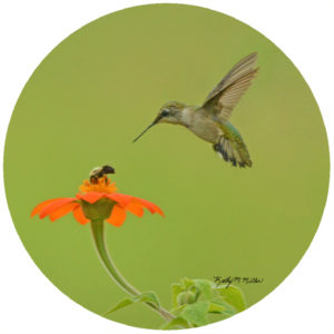 Kathy Miller Hummingbird & Bee
