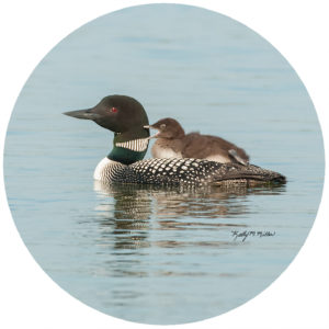 Kathy Miller Loon & Baby